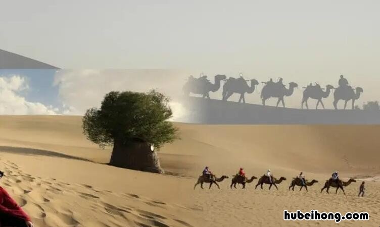 白马西风塞上的意思是什么 白马西风塞后面一句是什么