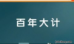 百年大计怎么造句 百年大计怎么读