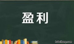 盈利是什么意思 盈利20%是什么意思