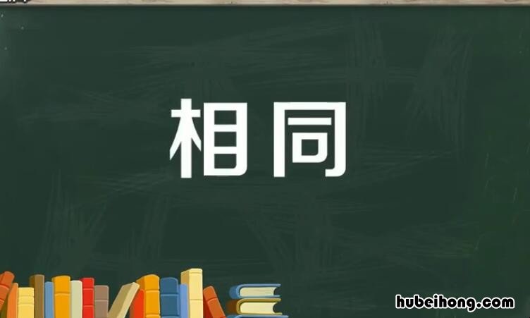 相同的近反义词是什么 相同的近义词有哪些