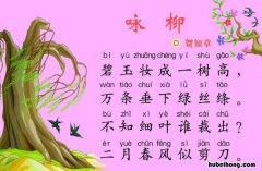碧玉妆成一树高的的下一句是什么 碧玉妆成一树高这首诗是什么意思