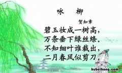碧玉妆成一树高是什么修辞手法 碧玉妆成一树高的后一句