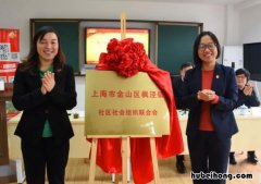 社会组织形成过程是什么 社会组织从何而来