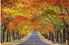 秋季是几月到几月 日本夏秋季节