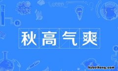 秋高气爽的造句有哪些 秋高气爽的造句怎么写三年级