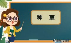 种草是什么意思 安利是什么意思