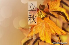 立秋古诗有哪些 立秋诗有哪些