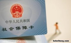 身份证号怎么查询个人社保 身份证号怎么查询个人社保缴费记录