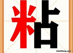 粘怎么组词 粘怎么组词组词语