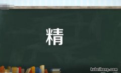 精字组词有哪些 精组词100个