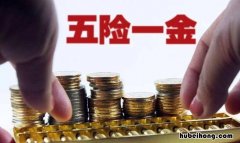 辞职后五险一金如何继续缴纳 辞职后五险一金如何继续缴纳医保