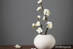素雅的意思是什么 素雅的是什么意思