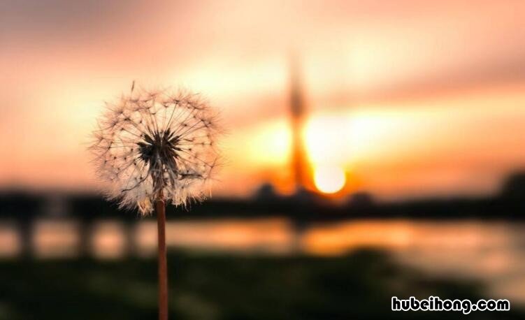 累觉不爱的伤感句子有哪些 累觉不爱的图片发朋友圈文案