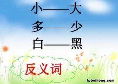 细小的反义词是什么 细小的反义词是粗壮吗