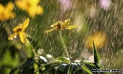 绵绵的春雨不停的下着改为比喻句怎么写 绵绵的春雨像什么造句