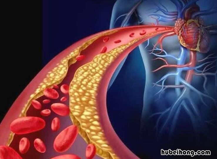 绿色血管暖皮还是冷皮 绿色血管是什么皮肤暖皮还是冷皮