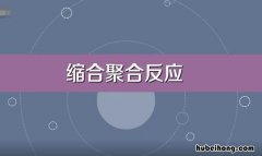 缩聚反应与加聚反应的区别是什么 高中化学缩聚反应与加聚反应区别是什么原理