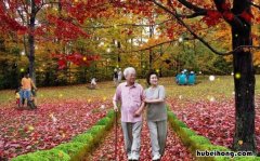 重阳节干什么的 重阳节干什么的节日重阳节的标语