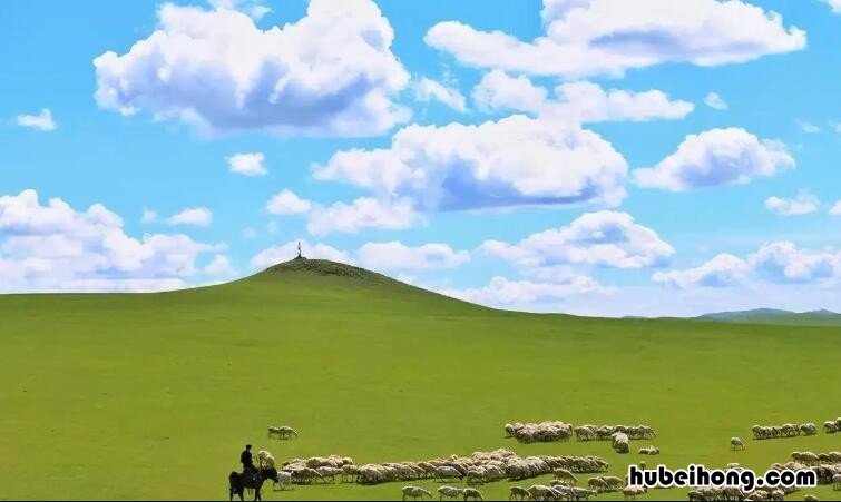 美丽的草原作文怎么写 美丽的草原作文300字左右