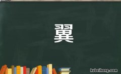 翼的组词有哪些 翼的组词?