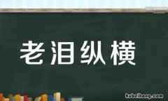 老泪纵横的意思是什么 老泪纵横感天地是什么生肖