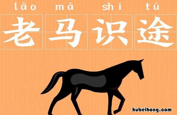 老马识途成语典故是什么 老马识途的典故是什么