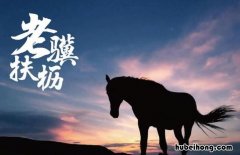 老骥伏枥的意思是什么 老骥伏枥是啥意思是什么