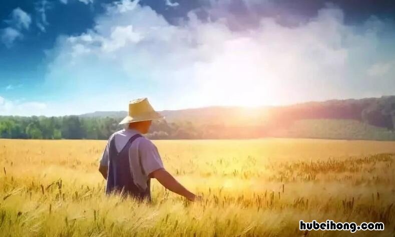 耕者有其田是谁提出的 耕者有其田是下列哪位提出来的