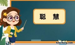 聪慧的近义词是什么 聪惠的近义词是什么