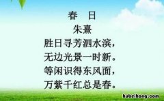 胜日寻芳泗水滨的意思是什么 胜日寻芳泗水滨是什么出自宋代诗人朱熹的春日