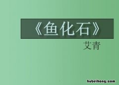 艾青的《鱼化石》原文是什么 艾青诗选《鱼化石》原文