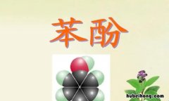 苯酚与溴水反应方程式是什么 苯酚与溴水的反应属于什么取代反应