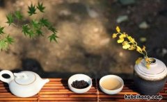 茶语人生经典句子有哪些 茶语人生文案