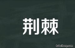 荆棘的意思是什么 荆芥的十大神奇功效