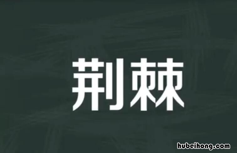 荆棘的意思是什么 荆芥的十大神奇功效