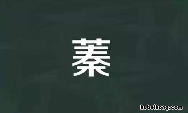 草字头加秦是什么字 草字头加秦字读什么