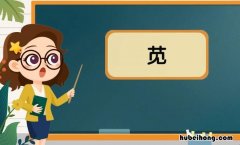 草字头加见是什么字 草字头加上见念什么
