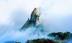 草色青青柳色浓玉壶倾酒满金钟的意思是什么 青青草的诗