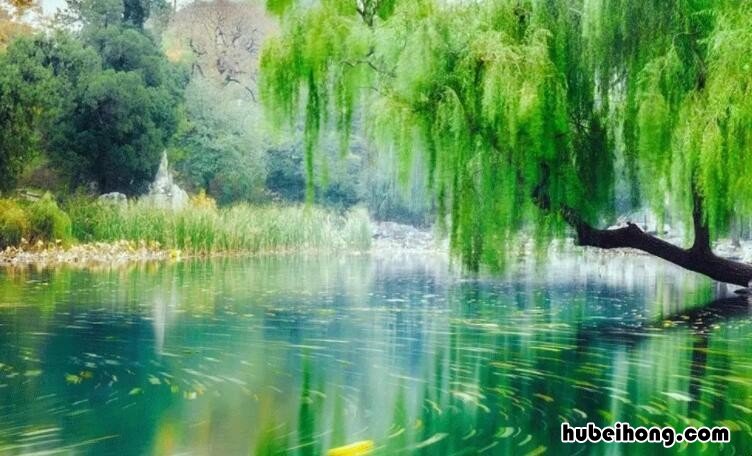 莺啼岸柳弄春晴的全诗是什么 莺啼岸柳弄春晴的七言绝句