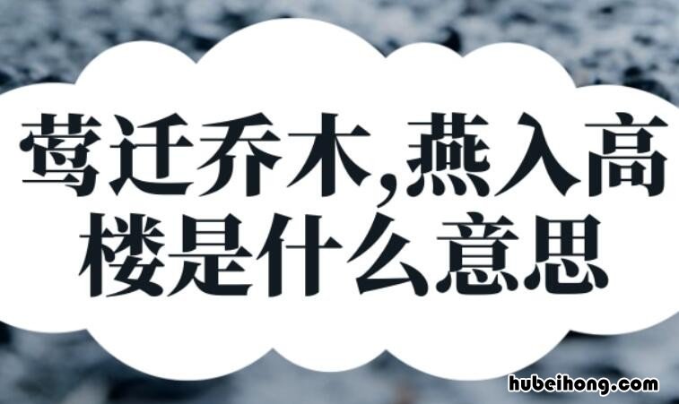 莺迁乔木,燕入高楼是什么意思 莺迁乔木,燕入高楼!