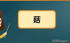 菇怎么组词语 菇怎么组词和拼音怎么写