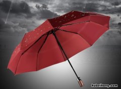 雨伞和太阳伞有什么区别 雨伞和太阳伞可以混用吗