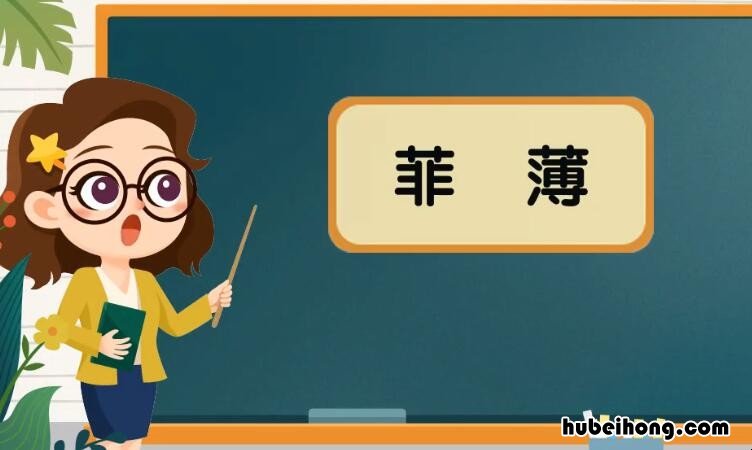 菲薄是什么意思 何必mf