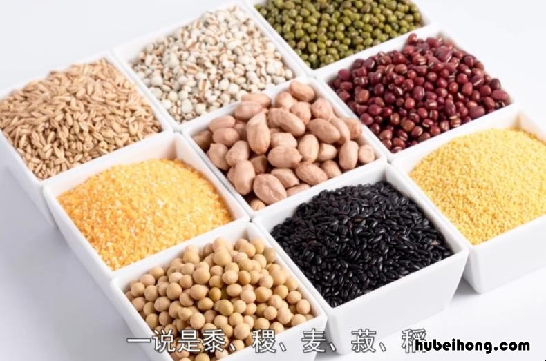 菽是指什么农作物 稻,黍,稷,麦,菽分别是什么东西