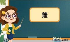 蓬怎么组词 蓬怎么组词两个字