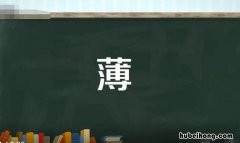 薄的多音字组词有哪些 薄的多音字怎么组词