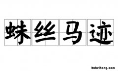 蛛丝马迹的意思是什么 蛛丝马迹的意思是什么?