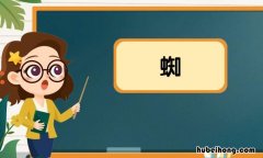 蜘怎么组词 漂亮的漂怎么组词 ?