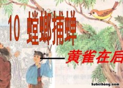 螳螂捕蝉的故事寓意是什么 螳螂捕蝉讲的是什么道理