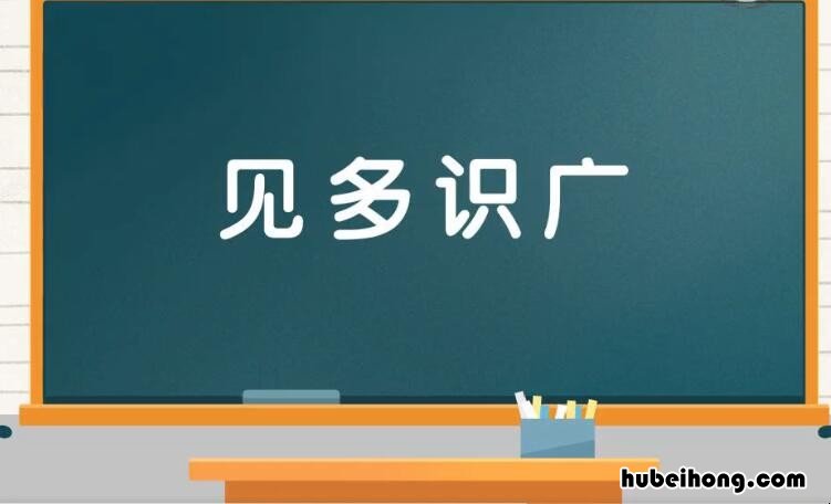 见多识广的近义词是什么 见多识广的近义词是什么字